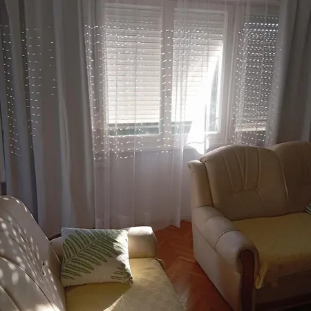 225 Danica * Fiume